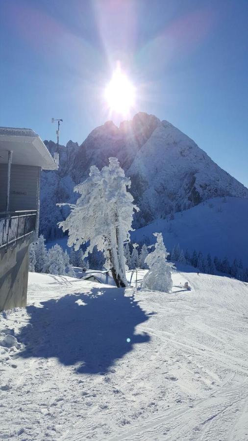 Gaestehaus Walpurga Russbach am Pass Gschuett Luaran gambar