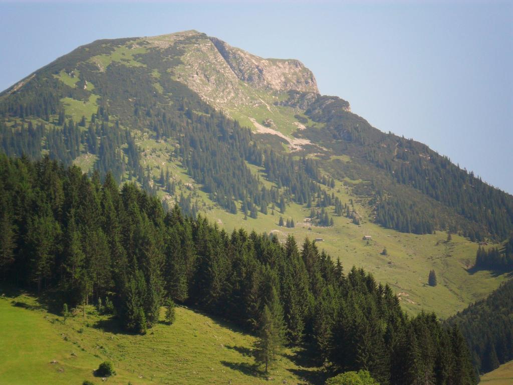 Gaestehaus Walpurga Russbach am Pass Gschuett Luaran gambar